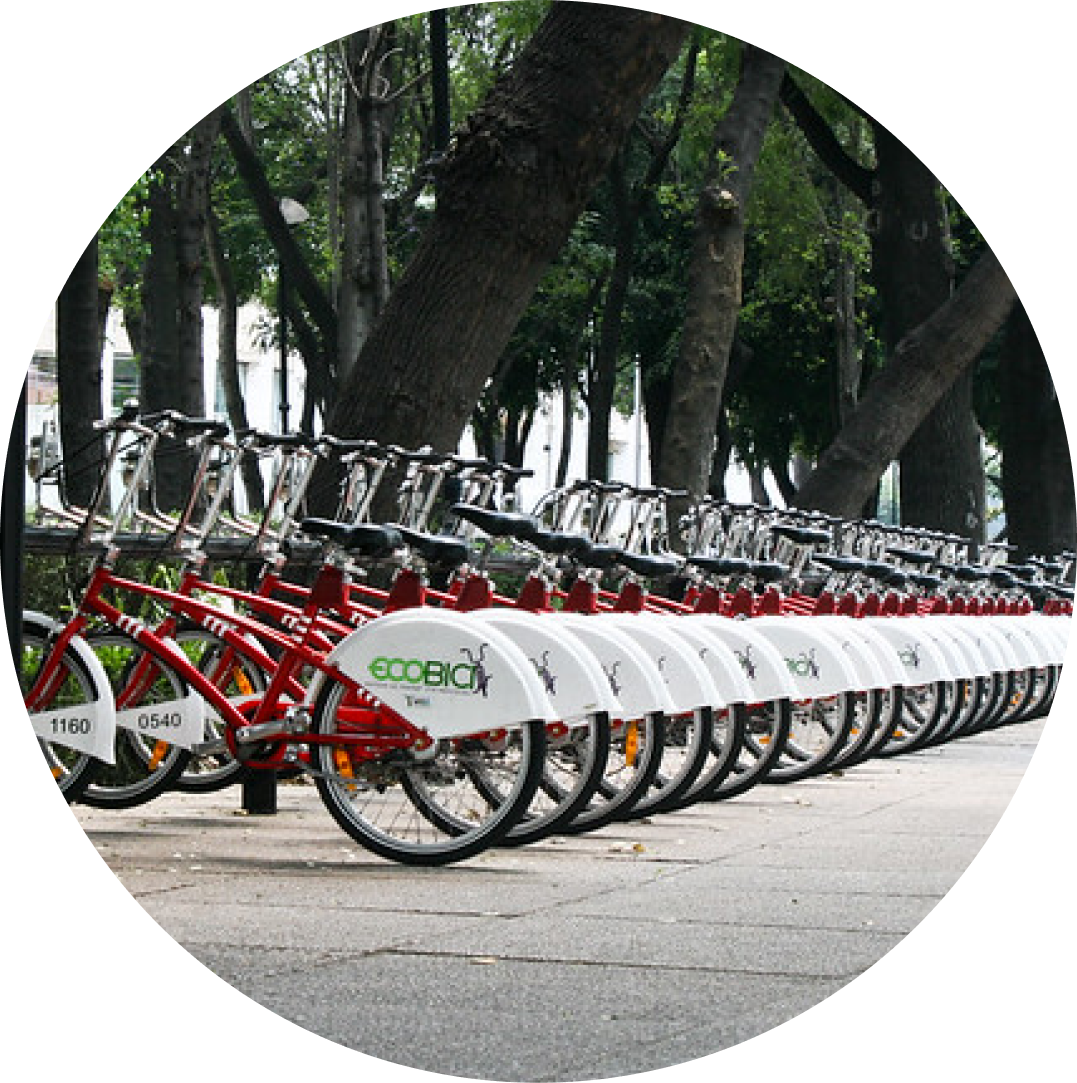 a line of bike share bikes